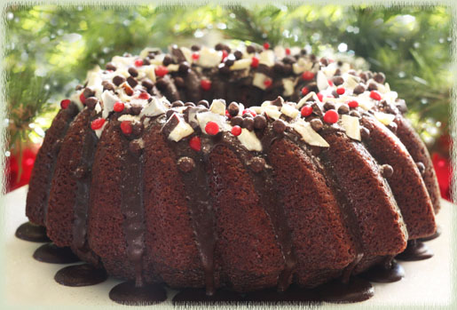 Cocoa Cinnamon Cake With Mocha Mint Icing