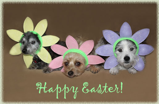 Easter Dog Flowers
