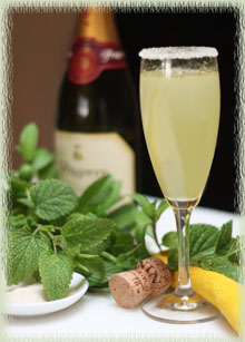 Limoncello Champagne Cocktail With Mint