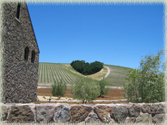 Heart Hill Vineyard