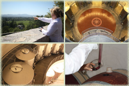 Amalia Overlooking the Vineyards; Rotating Fermentation Tanks; Barrel Tasting
