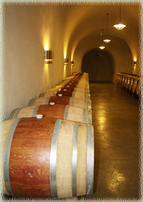 Barrels in the Palmaz Cave