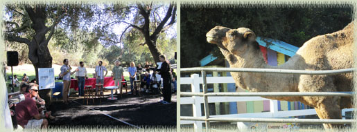Winemaker discussion in Conversation Lounge; Camel greeter