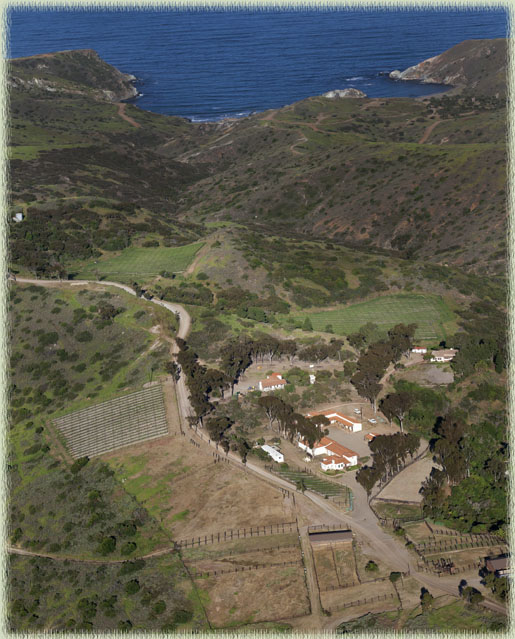 Aerial View of Rusack's Santa Catalina Island Vineyards; photo courtesy of Jack Baldelli