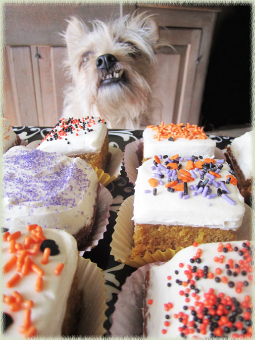 Paul's Pumpkin Bars with Leah's Cream Cheese Frosting