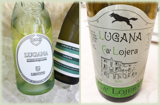 Some of the great wines of Lugana DOC