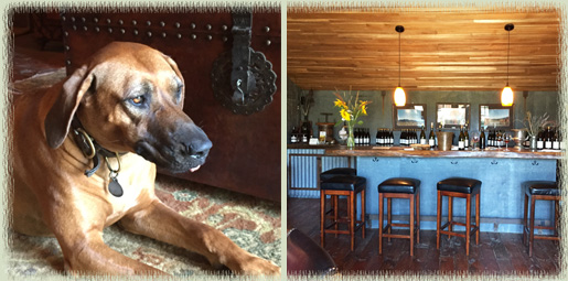 Pence Ranch Wine Dog Cooper & Tasting Room