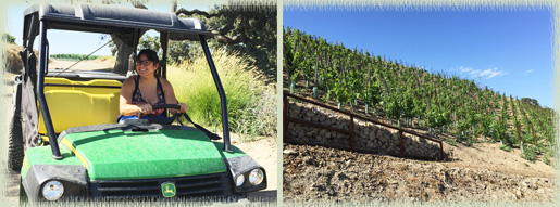 Anabel on ATV; Sloping Vineyard