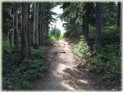 The path taken
