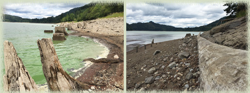 Rocky Point