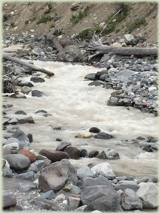 Nisqually River at Mt. Rainier