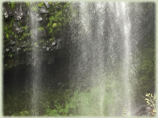 Narada Falls Up Close