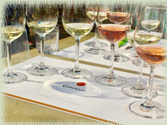 Codorniu Sparkling Wines