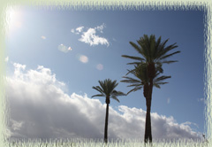 Palm Desert