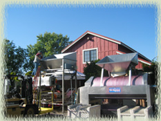 Harvest Time at Beckmen