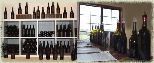 Beckmen Tasting Room