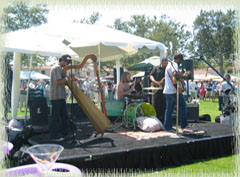 Music at the Festival