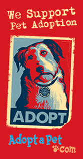 www.adoptapet.com