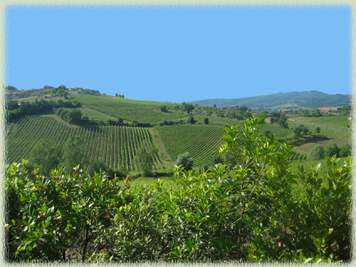 Chianti Countryside