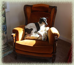 Spike on his throne