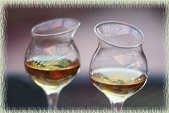 Grappa in the Glass