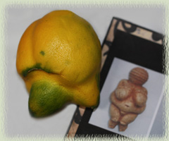 Lemon & Venus of Willendorf
