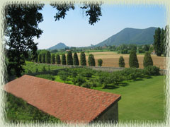 View from Lispida's Vineyard