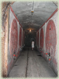 Vats Encased in Cement 