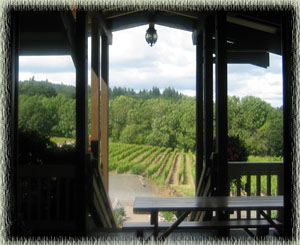 View From Inside Cristom Vineyards Tasting Room