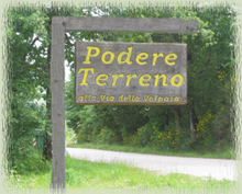 Podere Terreno