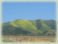 Santa Barbara Wine Country