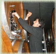 Barrel Tasting the 2006 Vintage