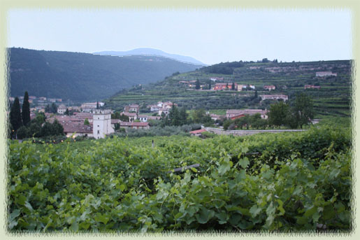 Valpolicella (shot from Fumane)